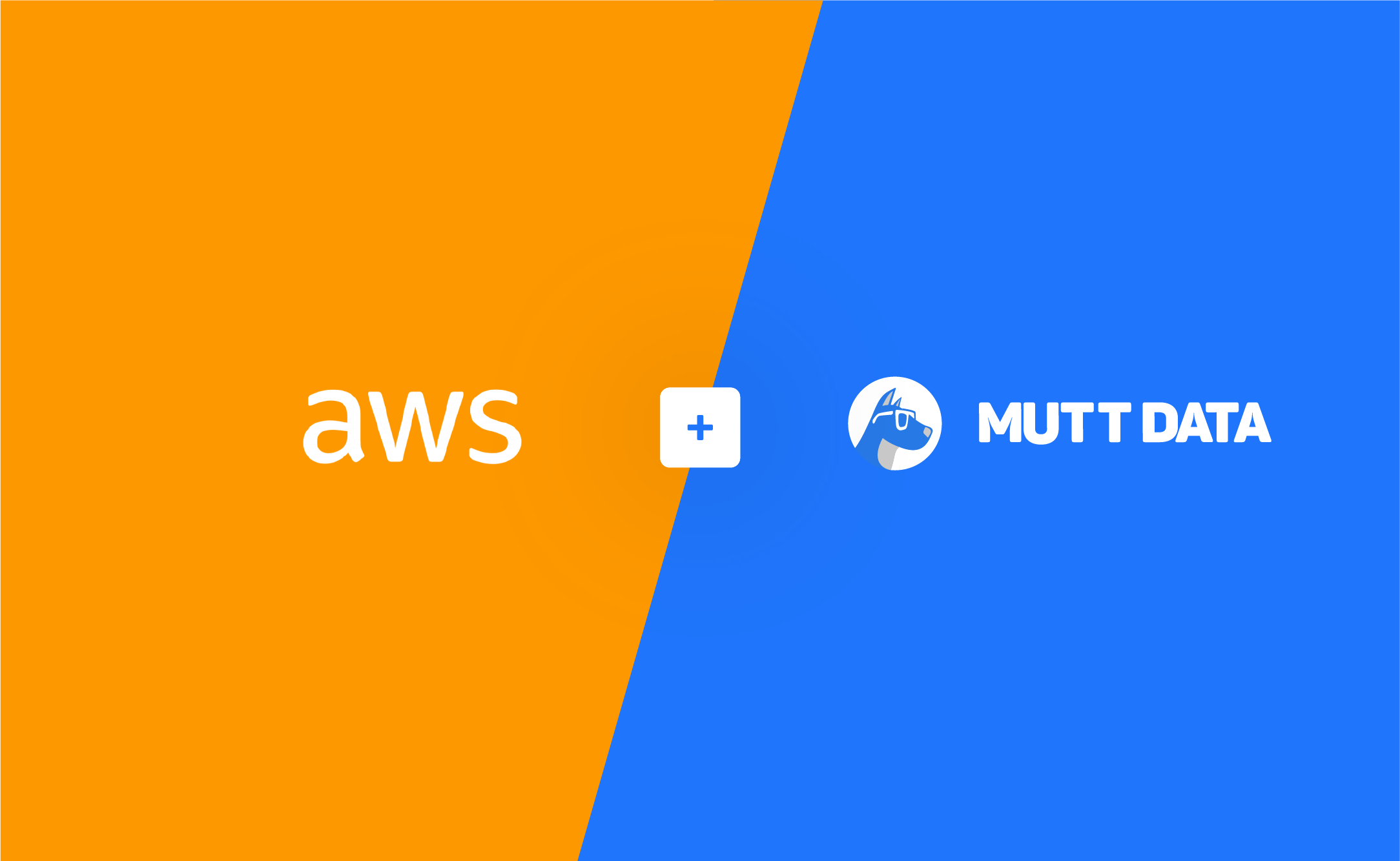 aws_partner